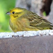 Wo Romantik auf Natur trifft: Ihr Berghütten-Erlebnis