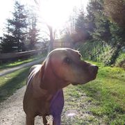 Sonnenaufgang, Lagerfeuer und unvergessliche Momente
