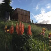 Glühwürmchenhütte Steiermark – Luxus trifft Natur auf 1100 m